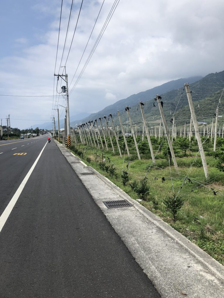 IMG 1453 768x1024 - DMC Memorial Ride 2018: Cycling Southern Taiwan